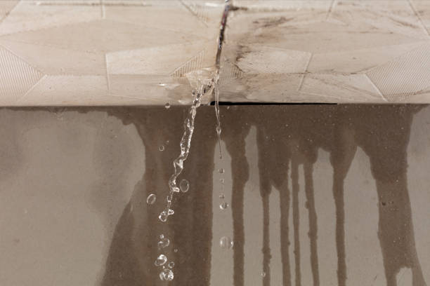 Professional Burst Pipe Cleanup technician working in La Conner, WA